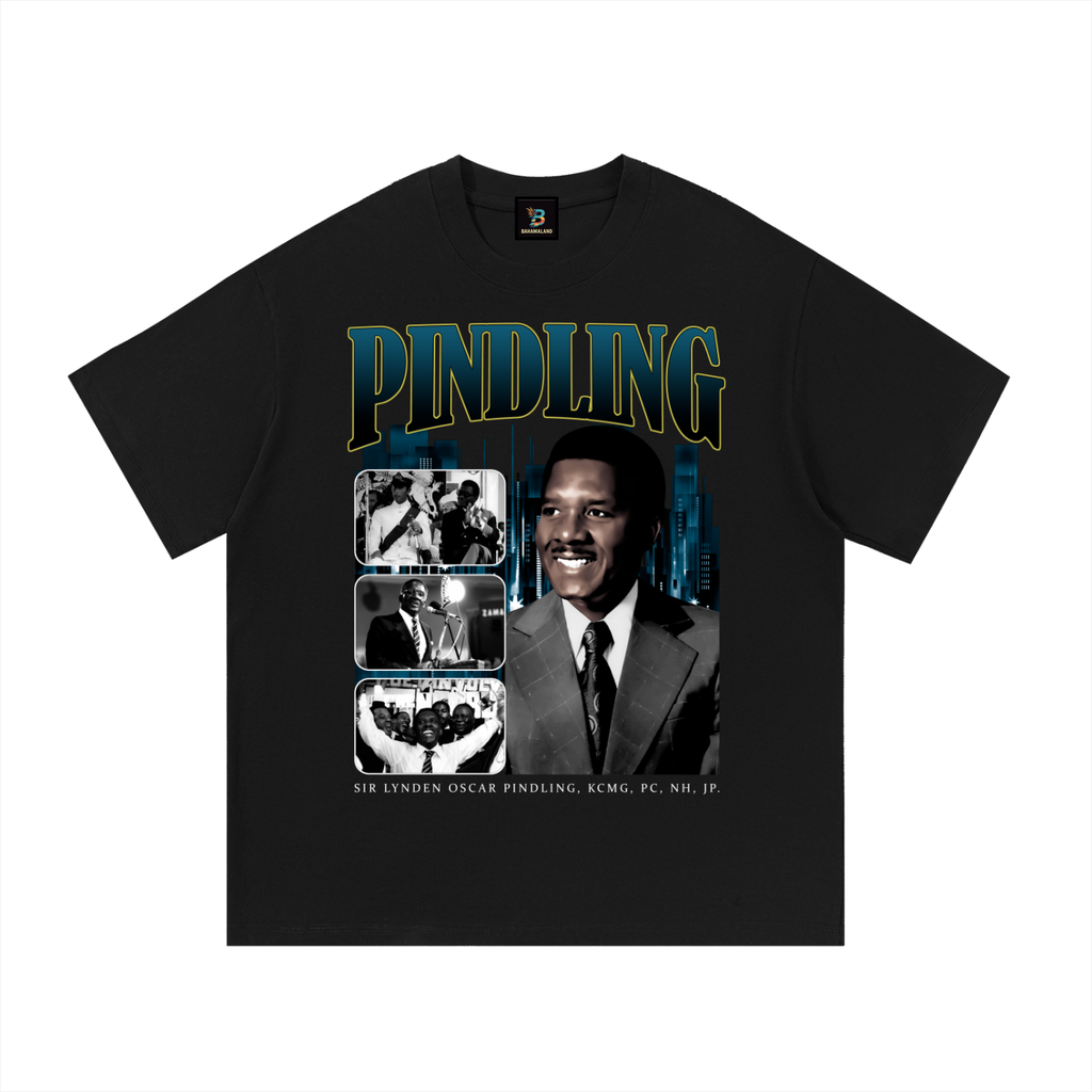 PINDLING Essential Cotton T-Shirt